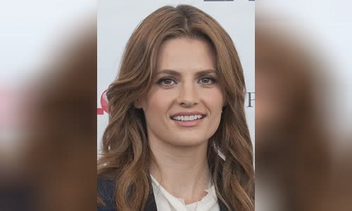 Stana Katic