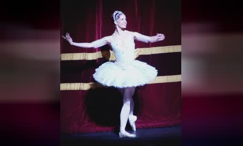 Darcey Bussell
