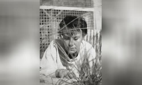 Harper Lee