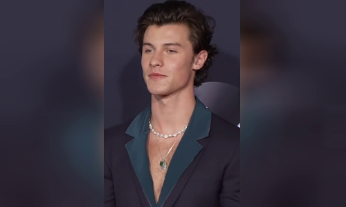 Shawn Mendes