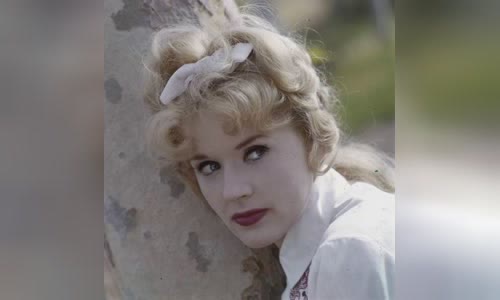 Connie Stevens