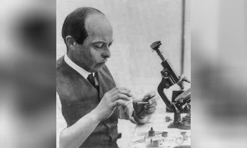 Ladislas Starevich