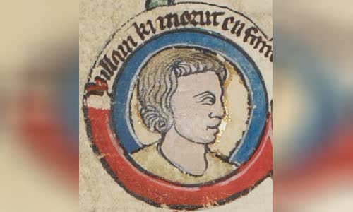 William IX, Count of Poitiers