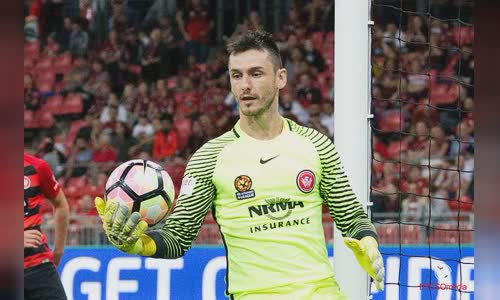 Vedran Janjetovi?