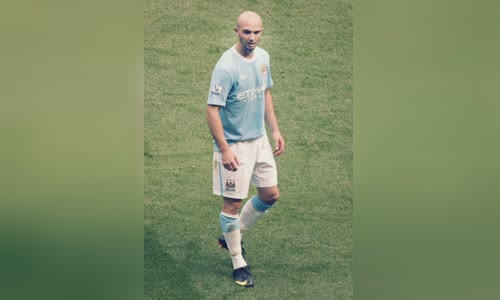 Stephen Ireland