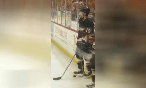 Andy McDonald (ice hockey)