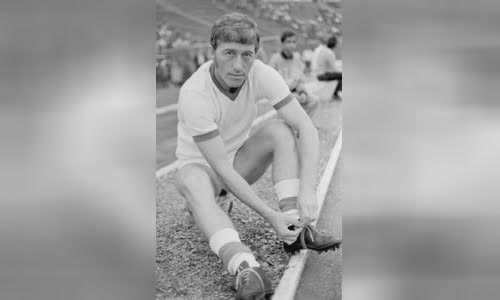 Nicolae Dobrin