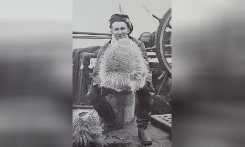 Denis G. Lillie