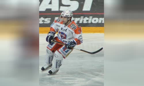 Steve Saviano
