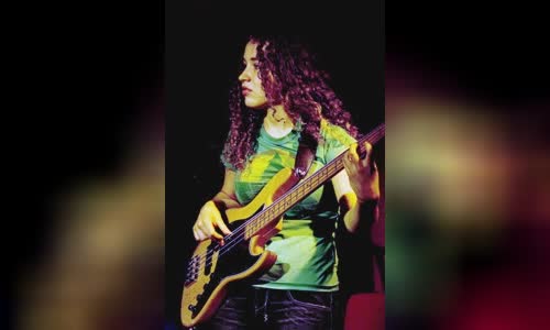 Tal Wilkenfeld