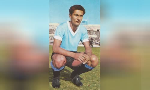 Pedro Rocha