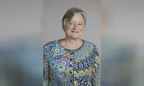 Julia Slingo