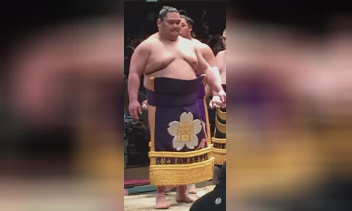Daiamami Genki