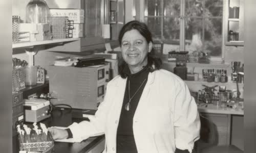 Esther Lederberg