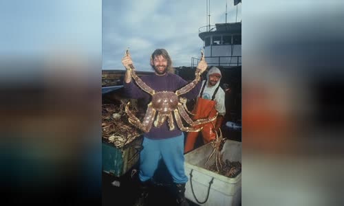 Phil Harris (fisherman)