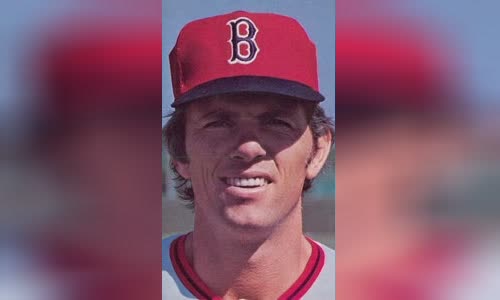 Bill Lee (left-handed pitcher)