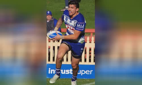 Brad Abbey