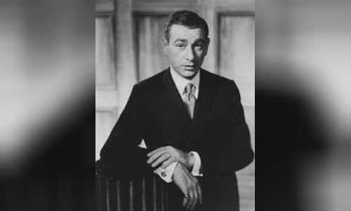 Shelley Berman