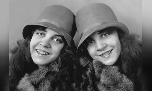 Daisy and Violet Hilton