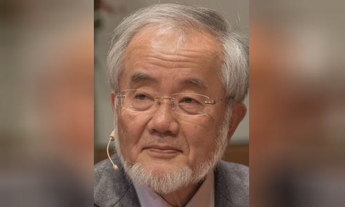 Yoshinori Ohsumi
