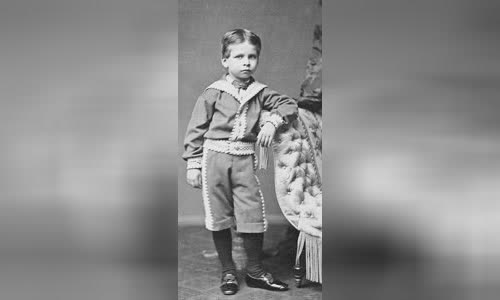 Prince Waldemar of Prussia (1868-1879)