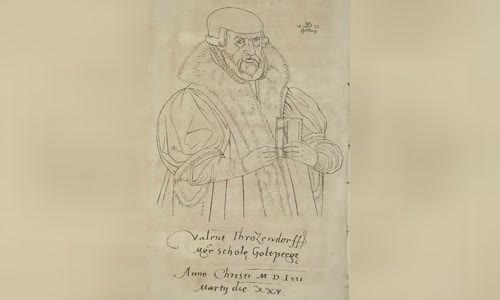 Valentin Friedland