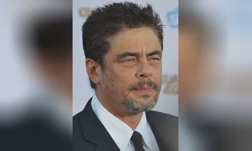 Benicio del Toro