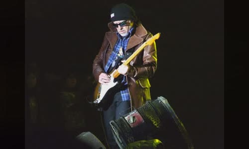 Brad Whitford