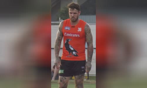 Dane Swan