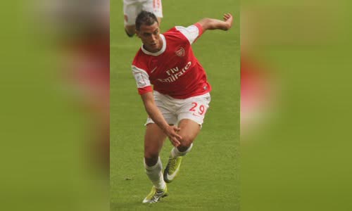 Marouane Chamakh