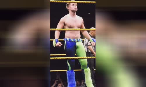 Tyler Breeze
