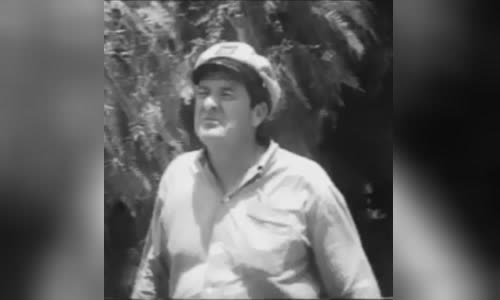 Coleman Francis