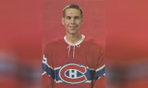 Terry Harper