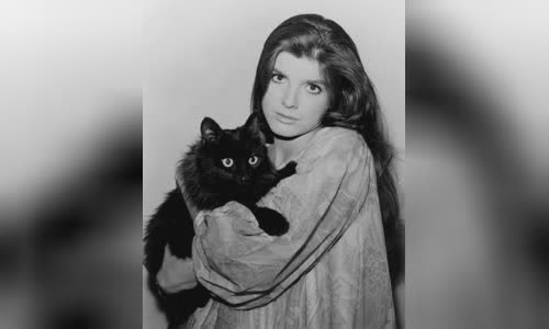 Katharine Ross