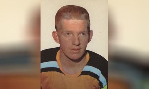 Pat Stapleton (ice hockey)