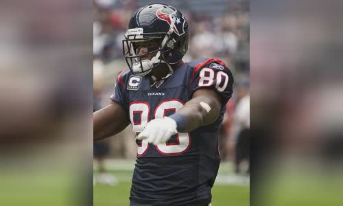 Andre Johnson