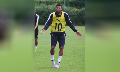 Étienne Capoue