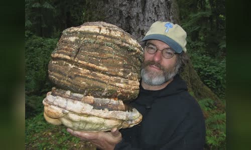 Paul Stamets