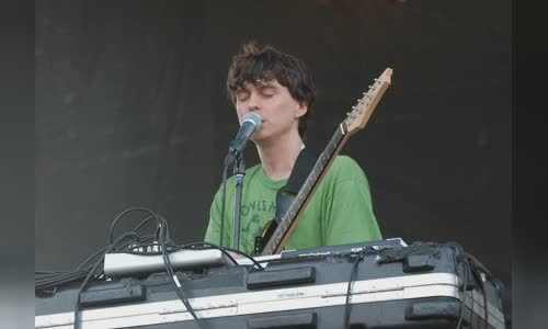 Panda Bear (musician)