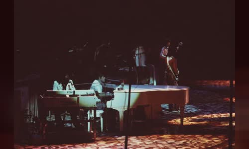 Ian Stewart (musician)