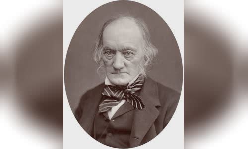 Richard Owen