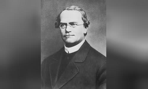 Gregor Mendel