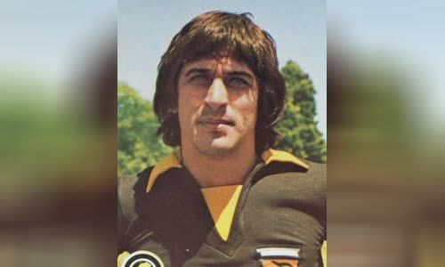 Ubaldo Fillol