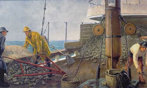 Alexander Rummler
