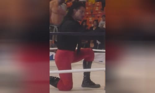 El Zorro (wrestler)