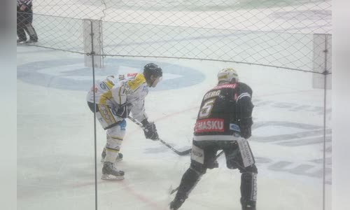 Aki Berg