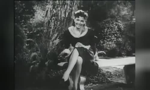 Yolande Donlan