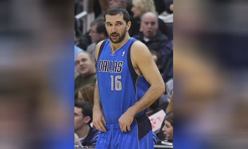 Peja Stojakovi?