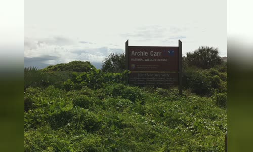 Archie Carr