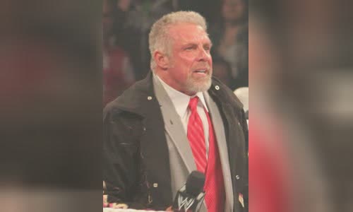 The Ultimate Warrior